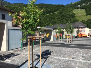 Ingénieurs aménagements urbains Valais